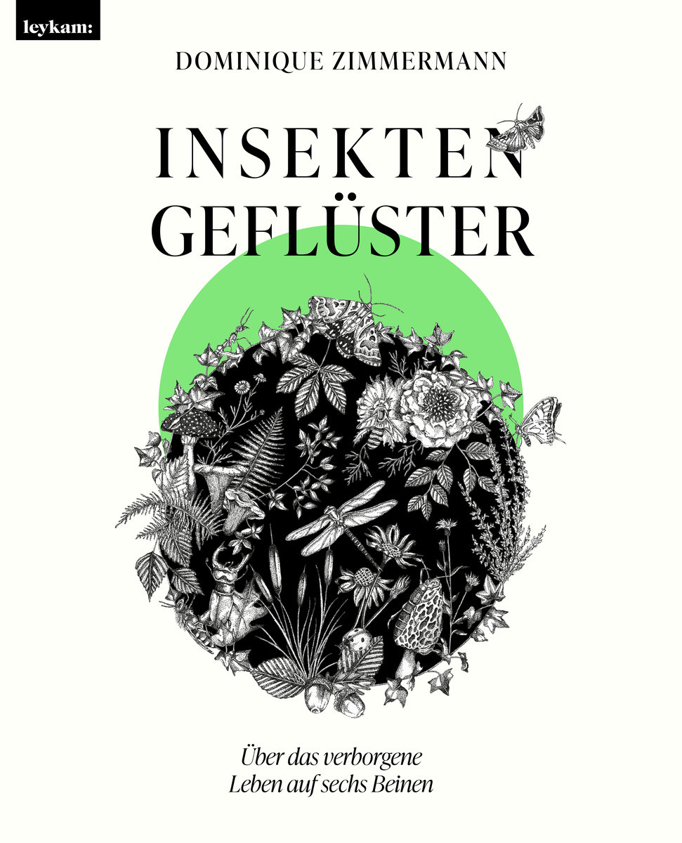 Zimmermann, Dominique - Insektengeflüster